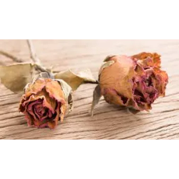 Top Dry Rose 